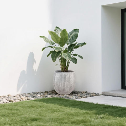 Worth raised pattern on the concrete-look planter adds visual depth