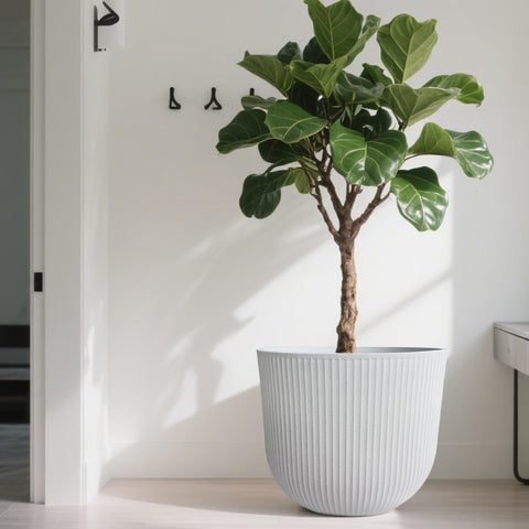 Worth garden planters demonstrate tall, balanced profile for medium to large plants.