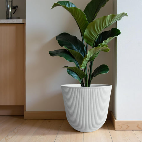 Worth round planters along a garden path offer clean, modern styling.