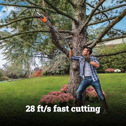 WORX pole saw extended to 10 ft reach for high branches