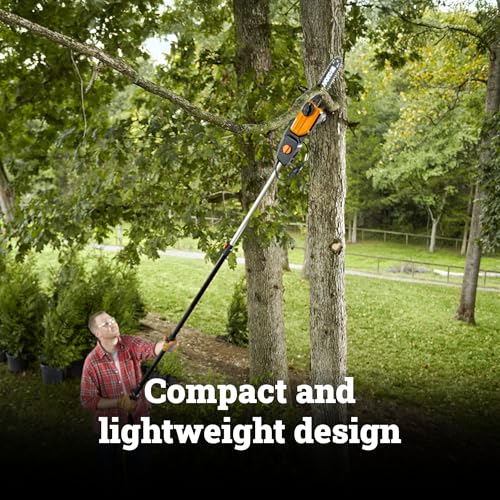 WORX pole saw converts to regular saw with the extension