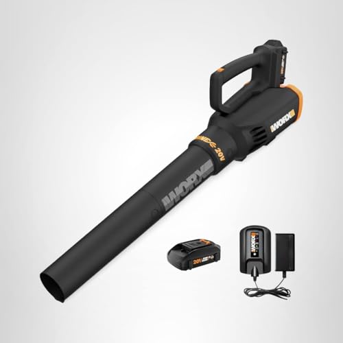 WORX WG547 ideal for driveways and patios cleanup with cordless ease.