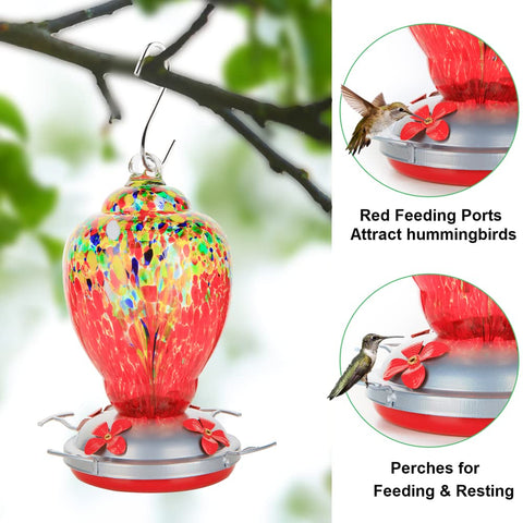 WOSIBO hummingbird feeder with ant moat to prevent nectar contamination