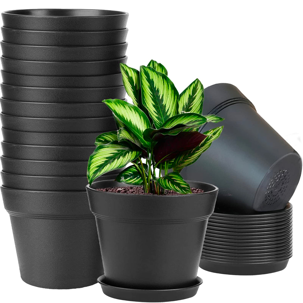 WOUSIWER 16-pack 6-inch planters with drainage holes for healthy indoor growth.