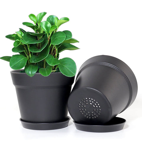 WOUSIWER 6-inch planters with trays prevent overwatering and soil spills.