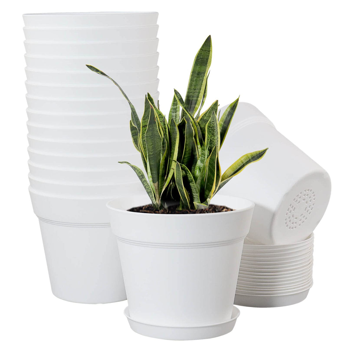 WOUSIWER 6-inch pot set overview for indoor gardening