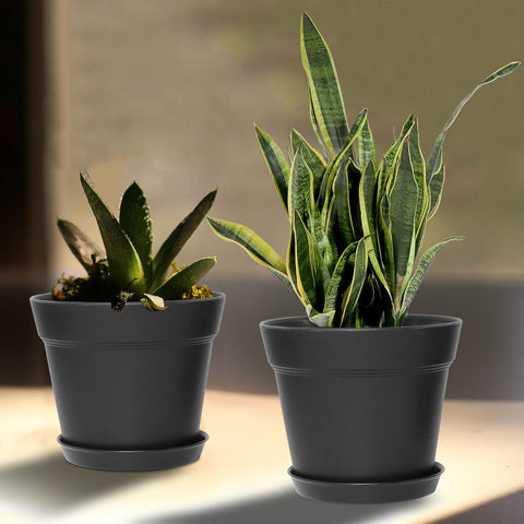 Indoor garden display with WOUSIWER planters enhancing decor.
