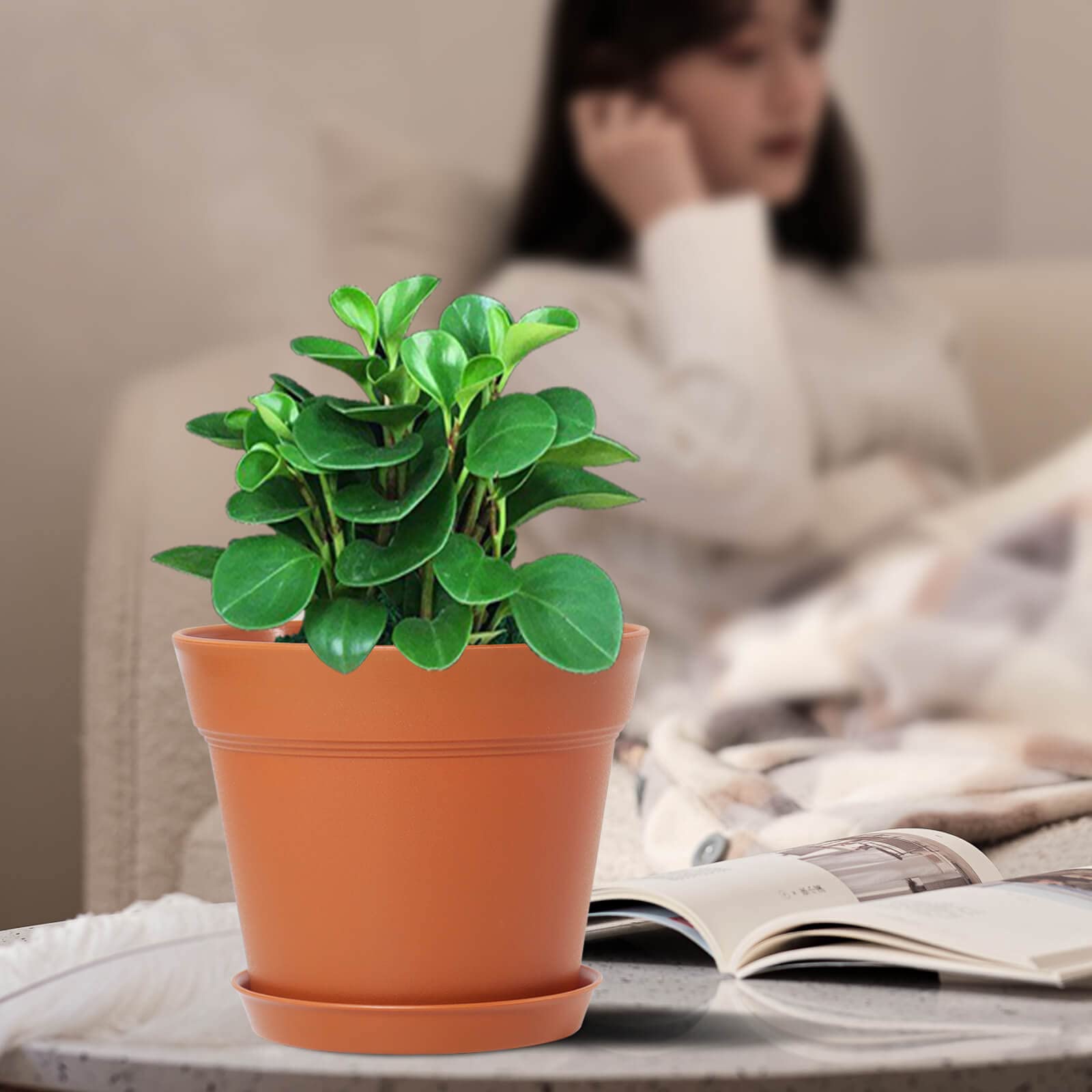 Six-inch pots accommodate orchid, snake plant, mint, and other indoor varieties.