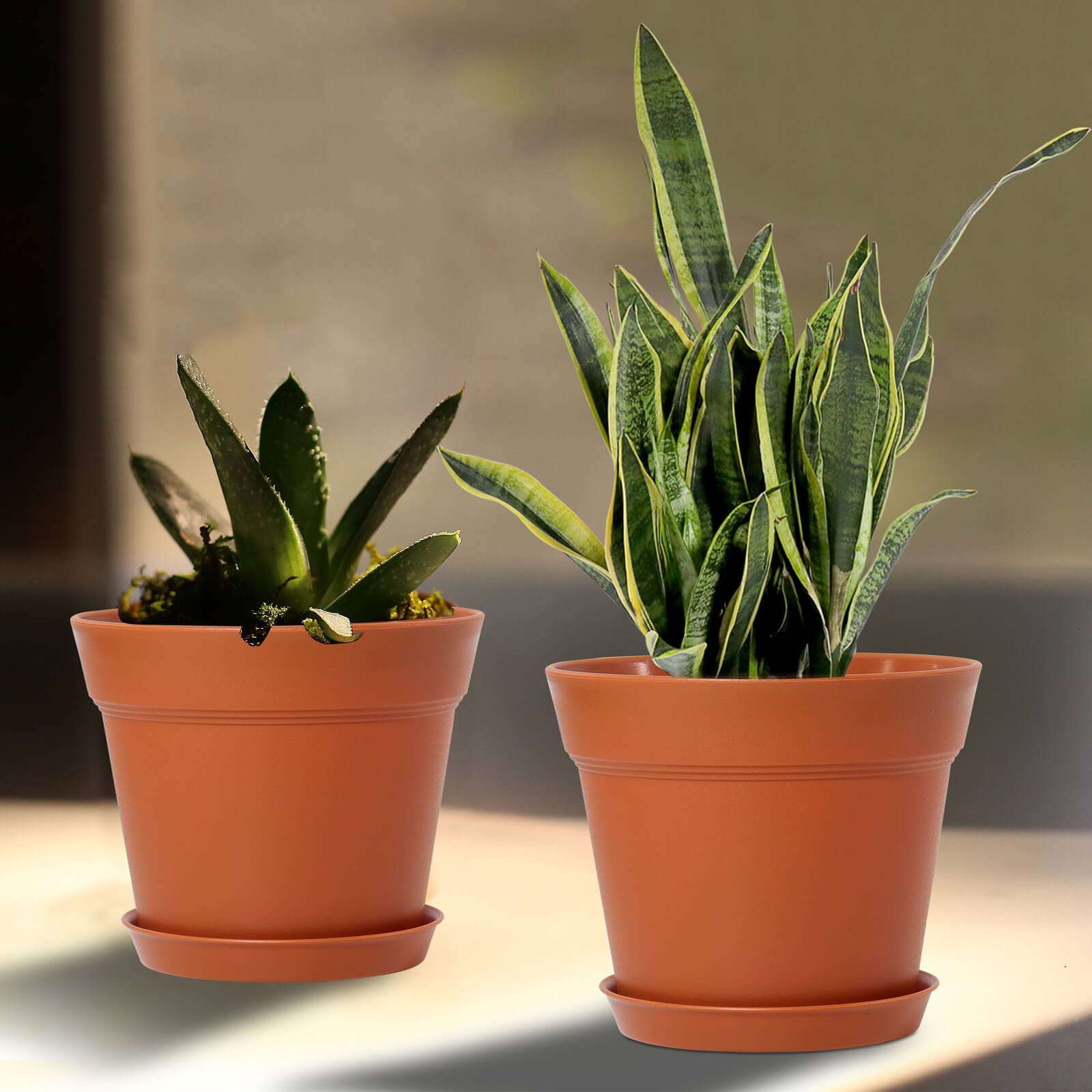 Includes 16 pots and 16 saucers for a ready-to-use indoor planter set.
