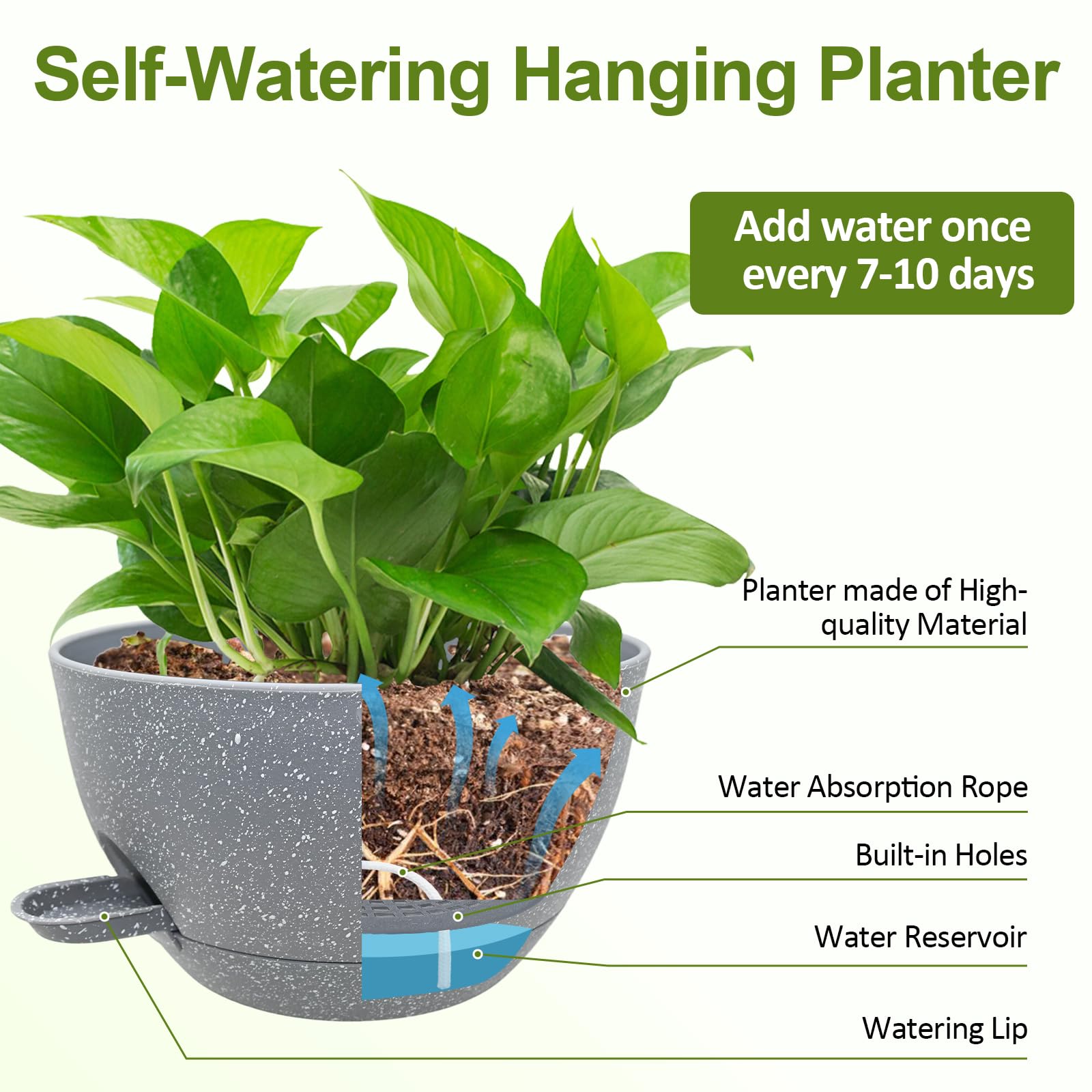 Herbs and ferns thriving in a WOUSIWER hanging planter on a sunny wall
