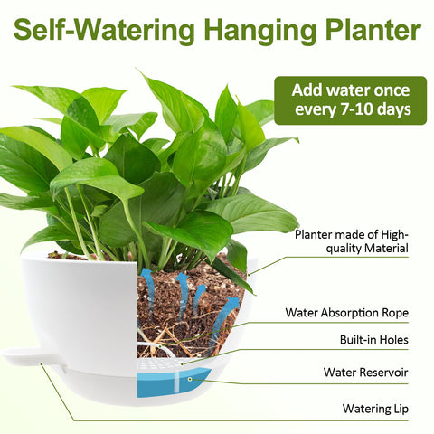 WOUSIWER 10-inch planter fits balcony, patio, or kitchen space.