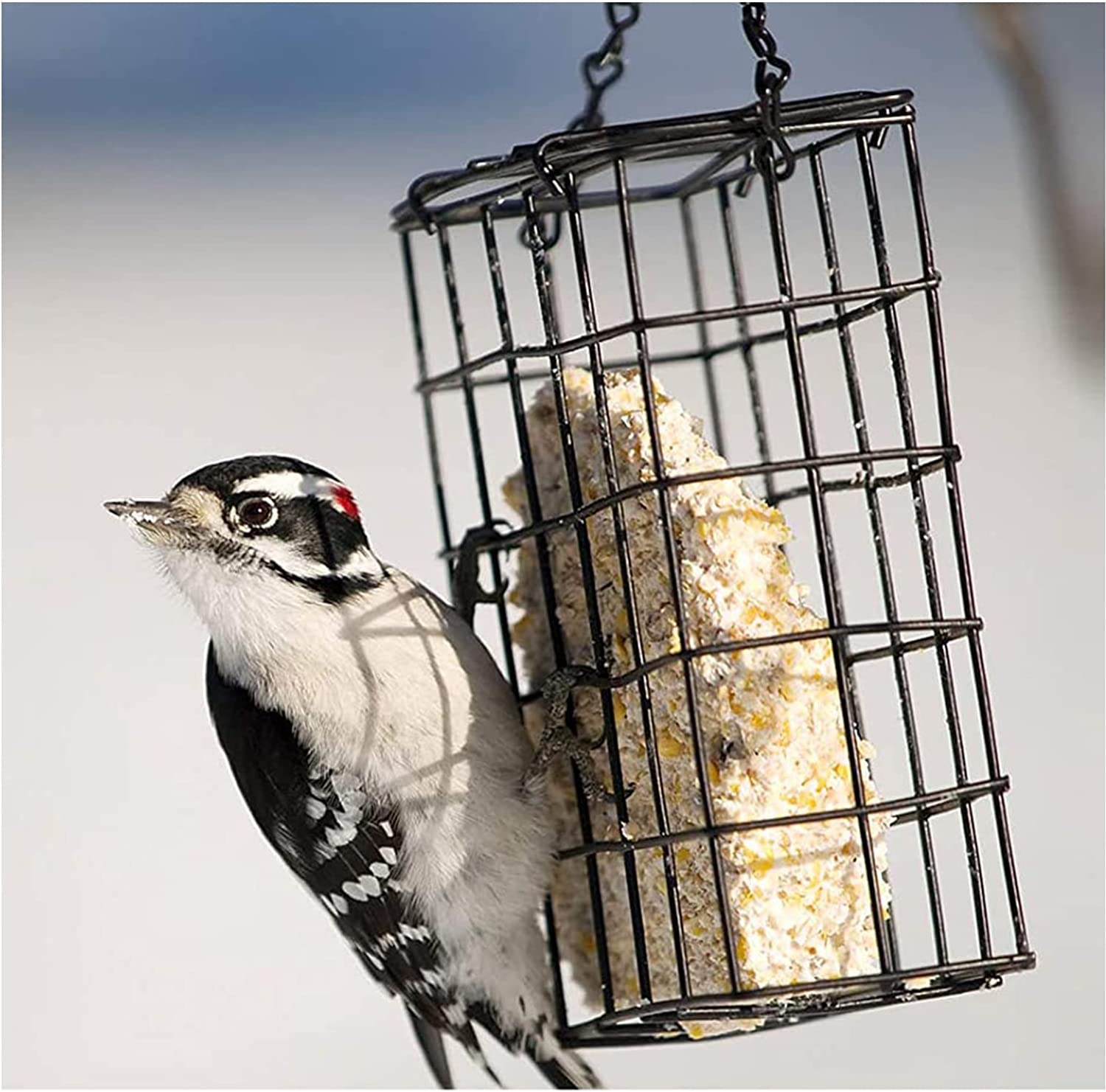 WOWARE two-pack bird suet feeders in metal with durable finish