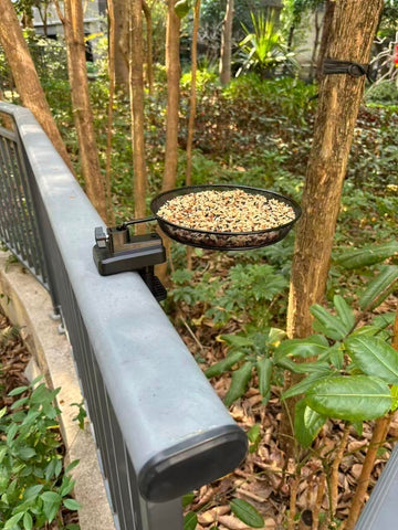 WOWARE metal mesh tray highlights airy design for easy seed distribution