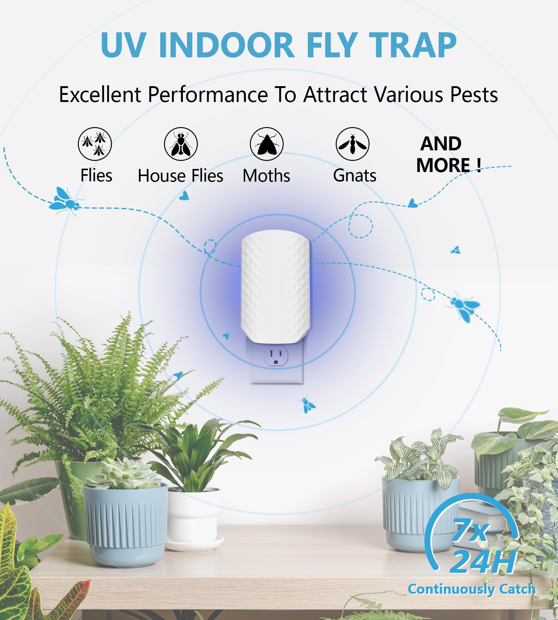 Blue-grid refill card from WowCatch enhances insect attraction.