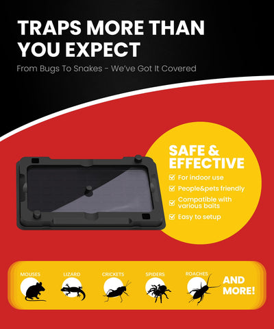 WowCatch humidity-proof sticky traps perform in damp spaces like basements