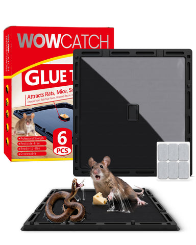 WowCatch Jumbo glue trap front view with strong adhesive for rodent control.