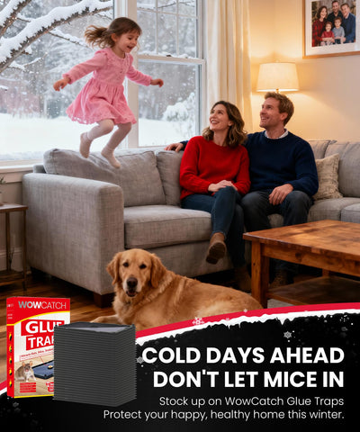 Wowcatch pet-safe indoor traps protect children and pets.