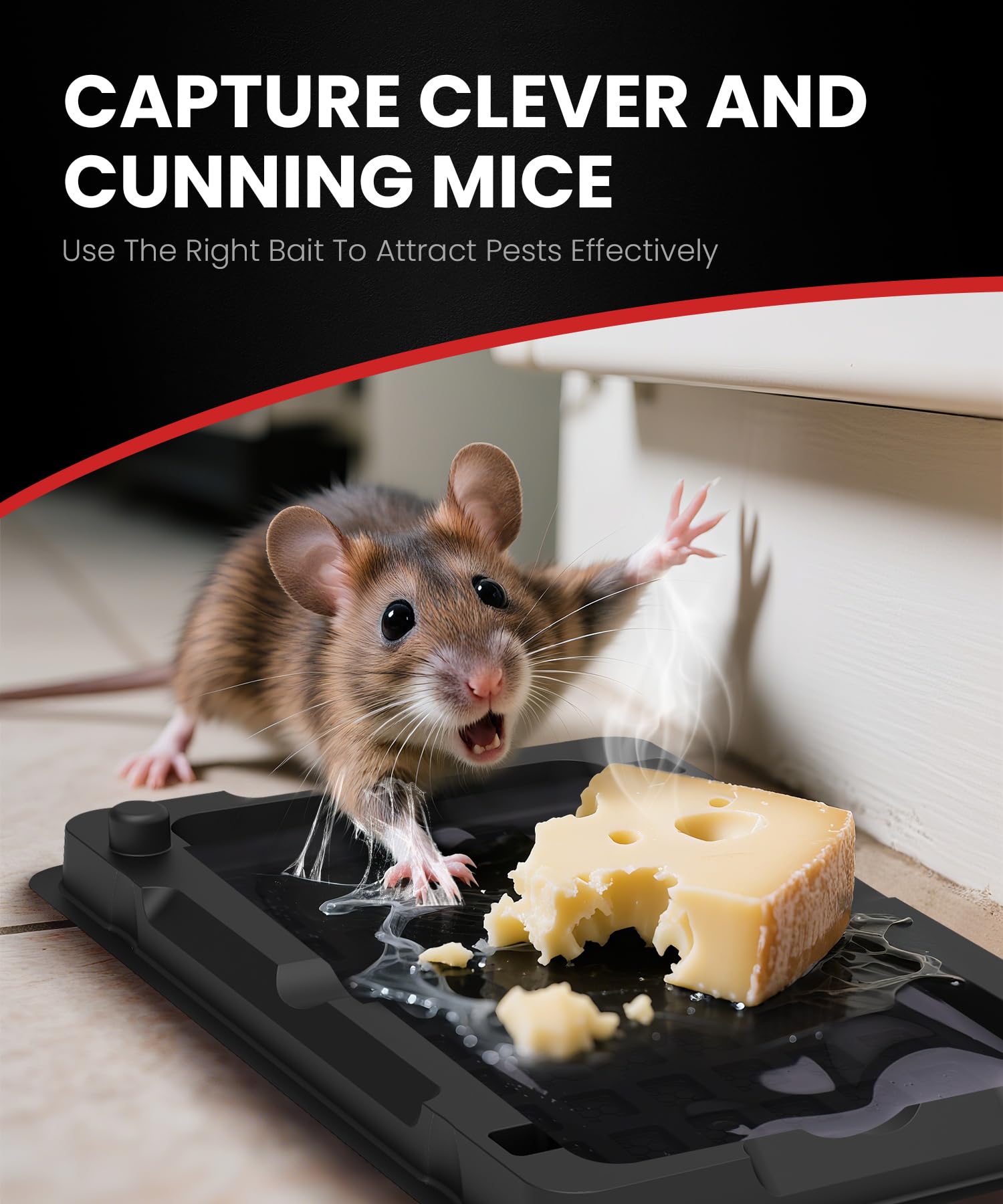 WowCatch prebaited glue traps ready for quick kitchen monitoring