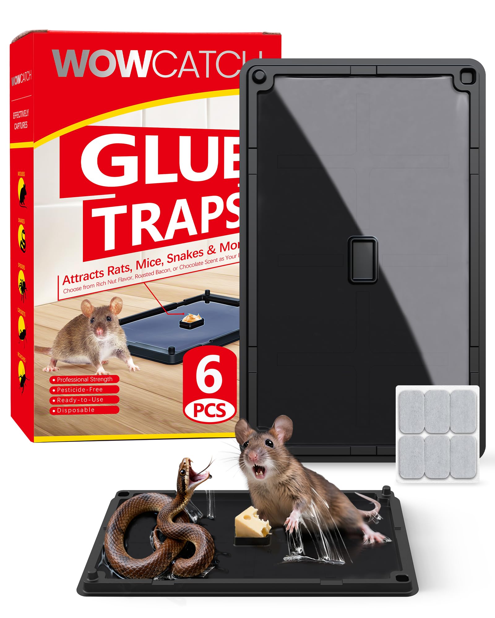 Wowcatch rat-trap 6pk closeup showing ultra-sticky glue for durable indoor placement.