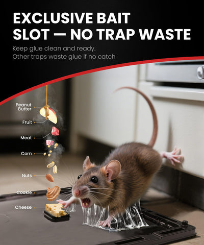 Wowcatch ready-to-use traps positioned along walls for fast setup.