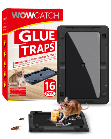 WowCatch sticky mouse traps indoor 16-pack catches pests quietly in kitchen