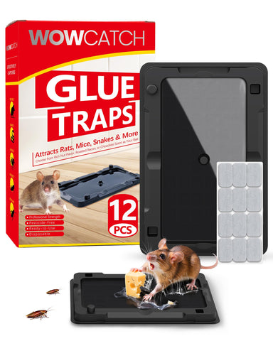WowCatch sticky traps indoor pack 12 deliver long-lasting pest capture on glue boards.