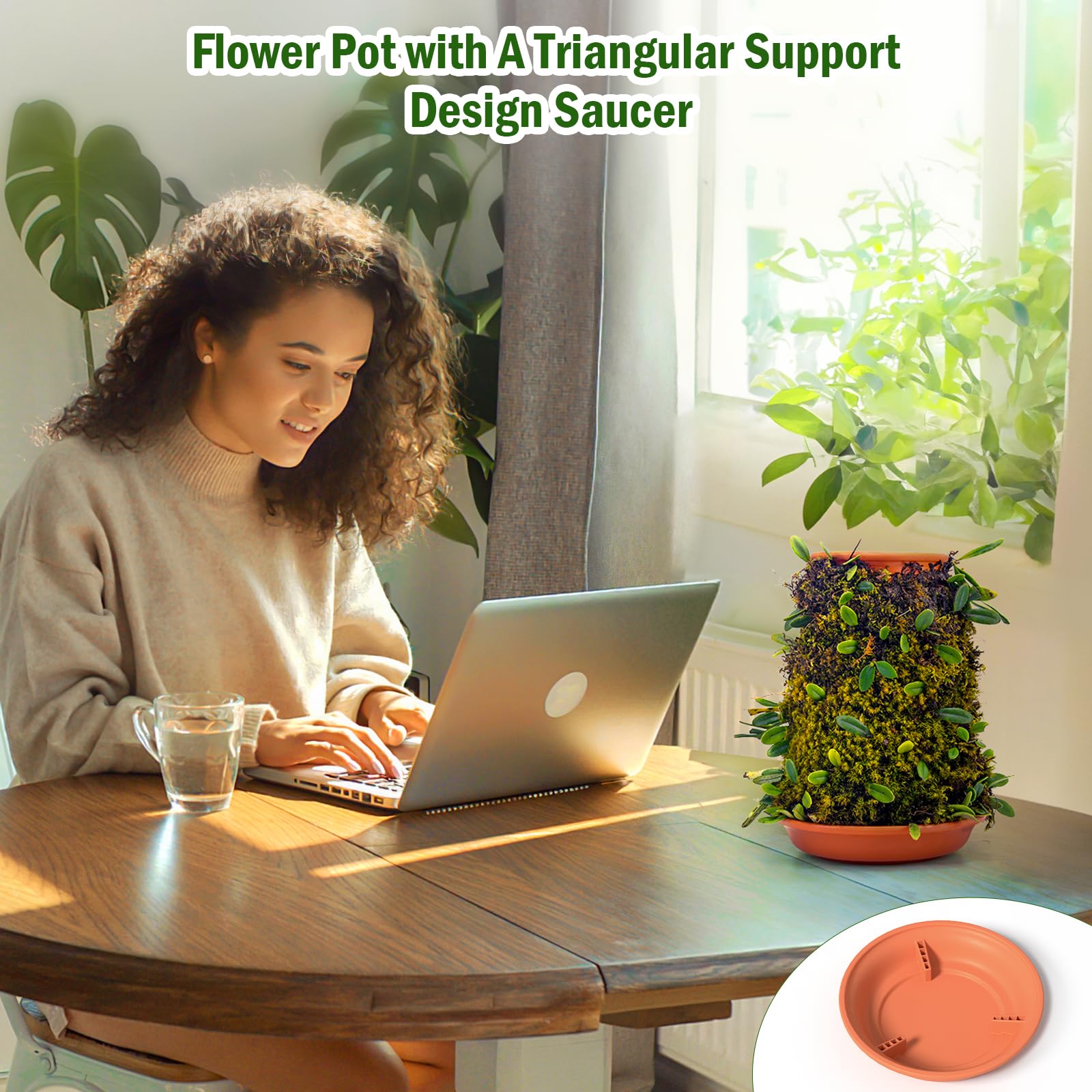 WOWMVP one-leaf fern fits snugly in the self-watering system.