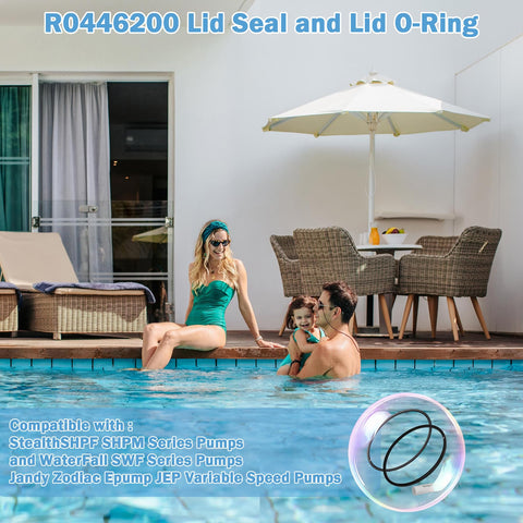 WPL R0446200 leak-prevention seal for spa pumps helps maintain steady water flow.