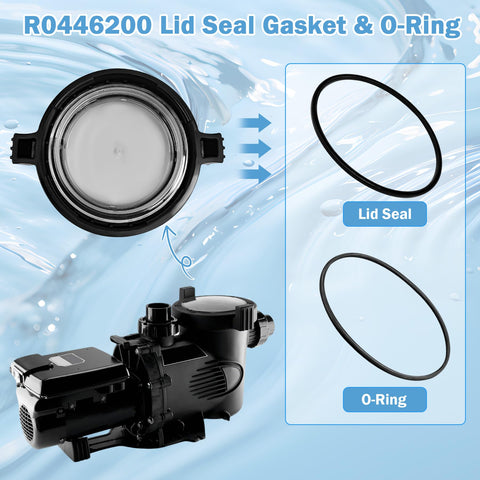 WPL R0446200 temperature-resistant seal supports year-round spa performance.