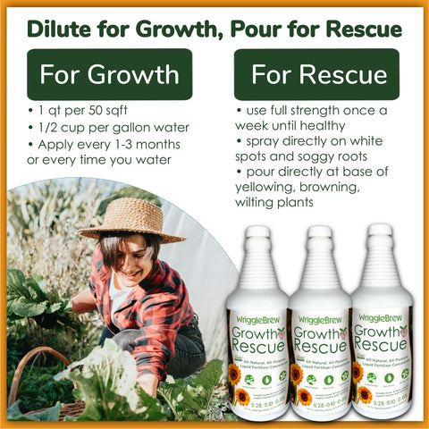 WriggleBrew bottle beside healthy roots illustrating microbial soil health.