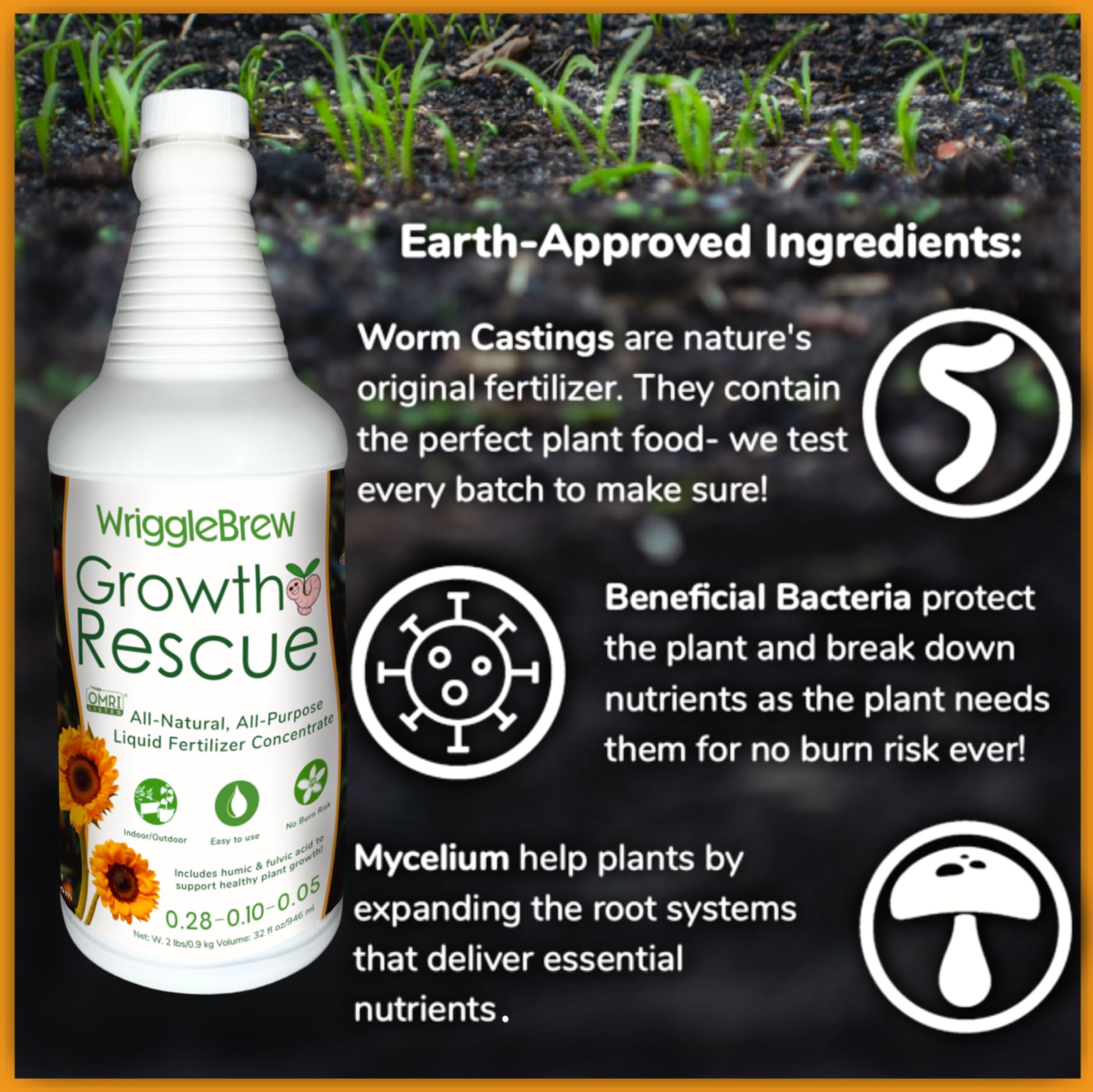 WriggleBrew applied to indoor houseplants for lush foliage and resilience.