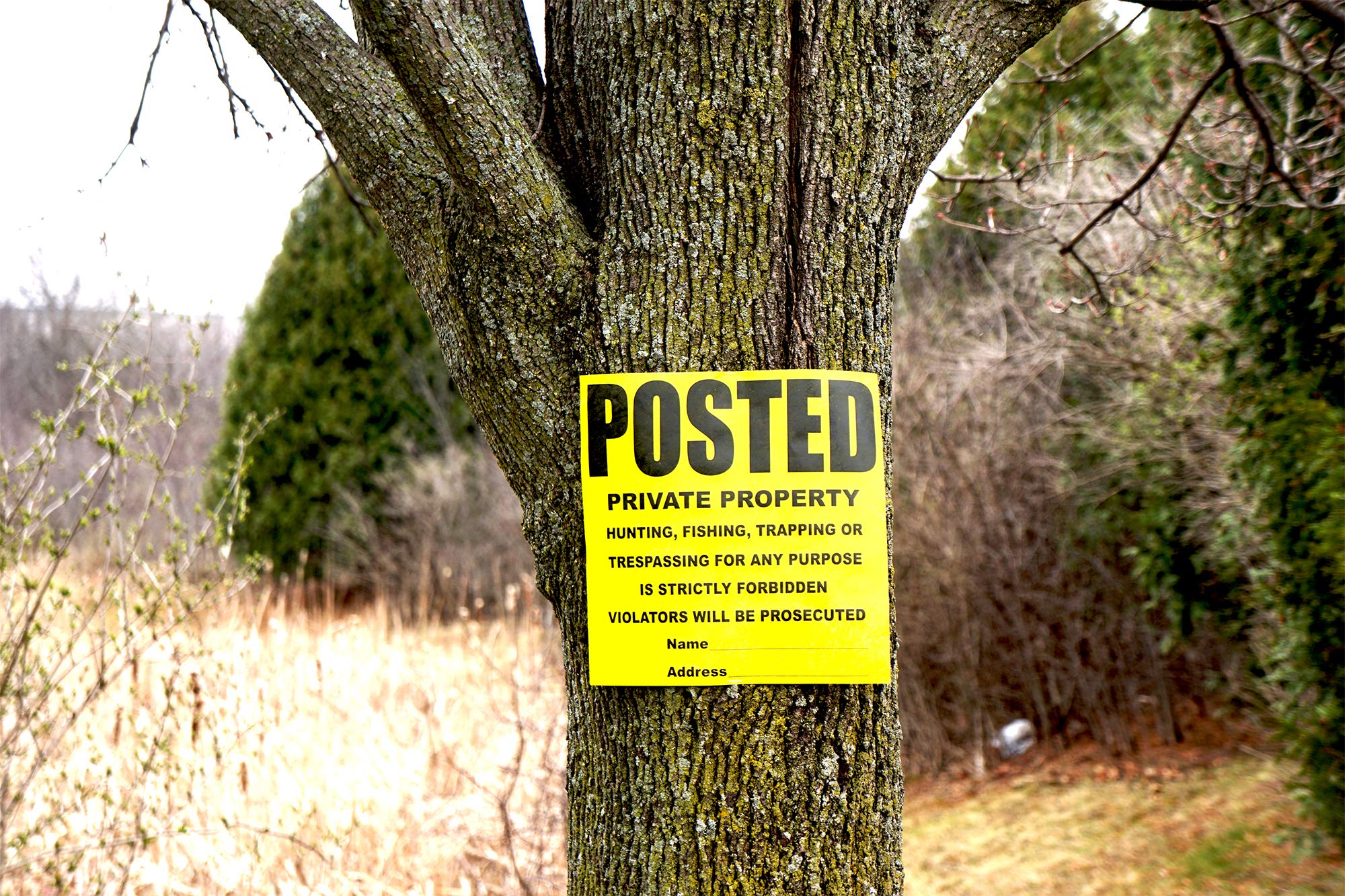 WristCo weatherproof Tyvek sign withstands rain and sun while staying legible.