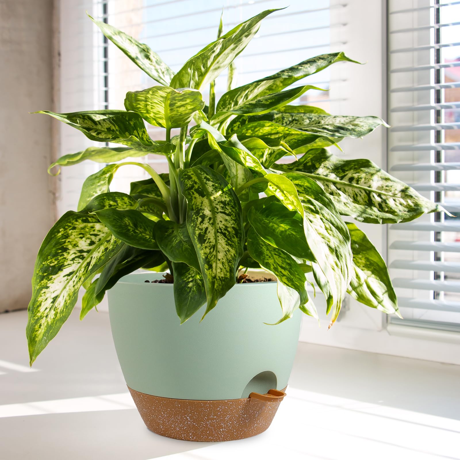 WSMKSZ planter on patio setup showing indoor/outdoor versatility