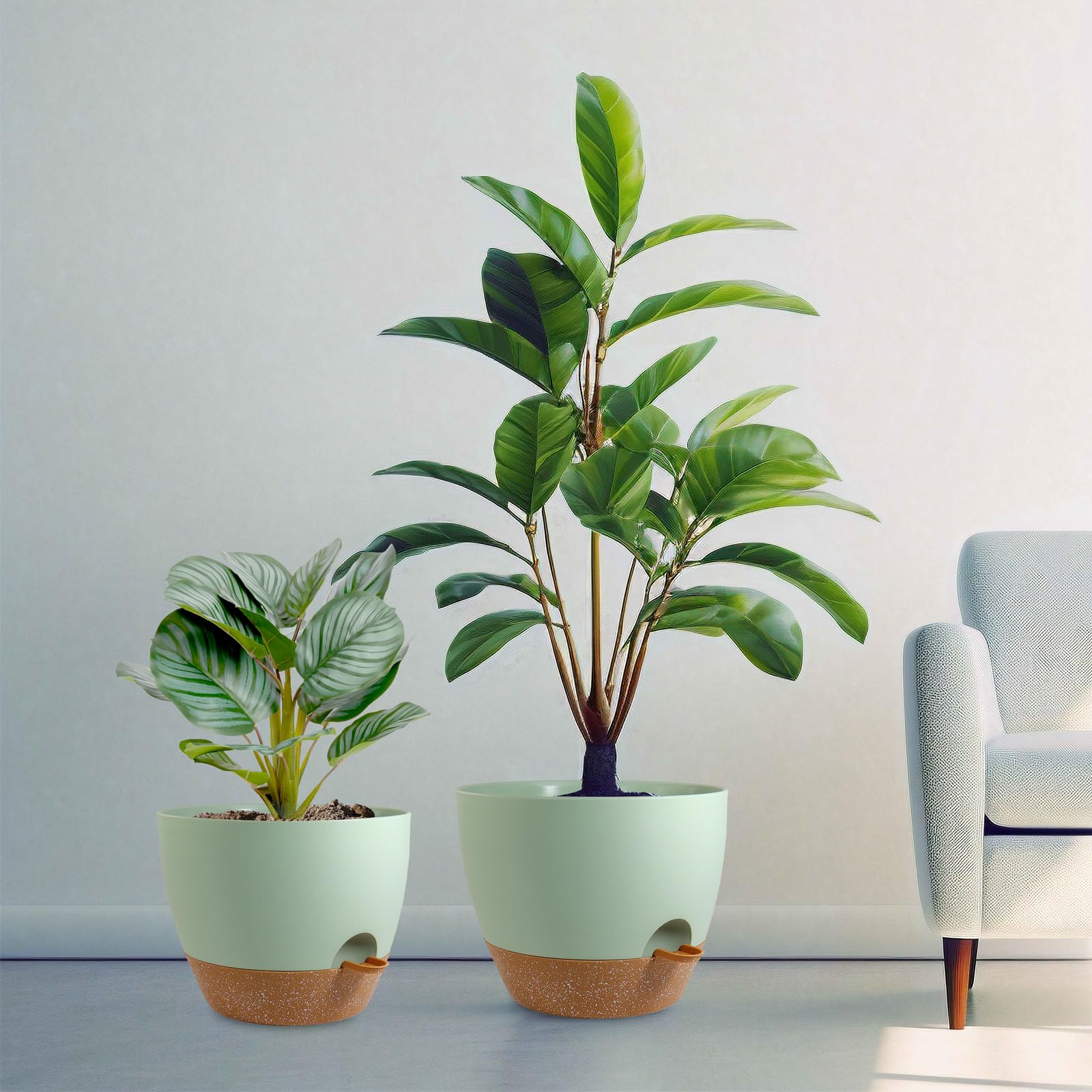 WSMKSZ removable tray protects surfaces during watering and placement