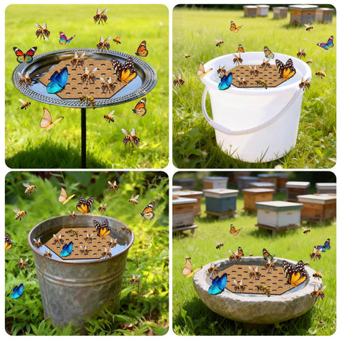 WSBXBB easy-to-clean bee watering station for ponds and fountains.
