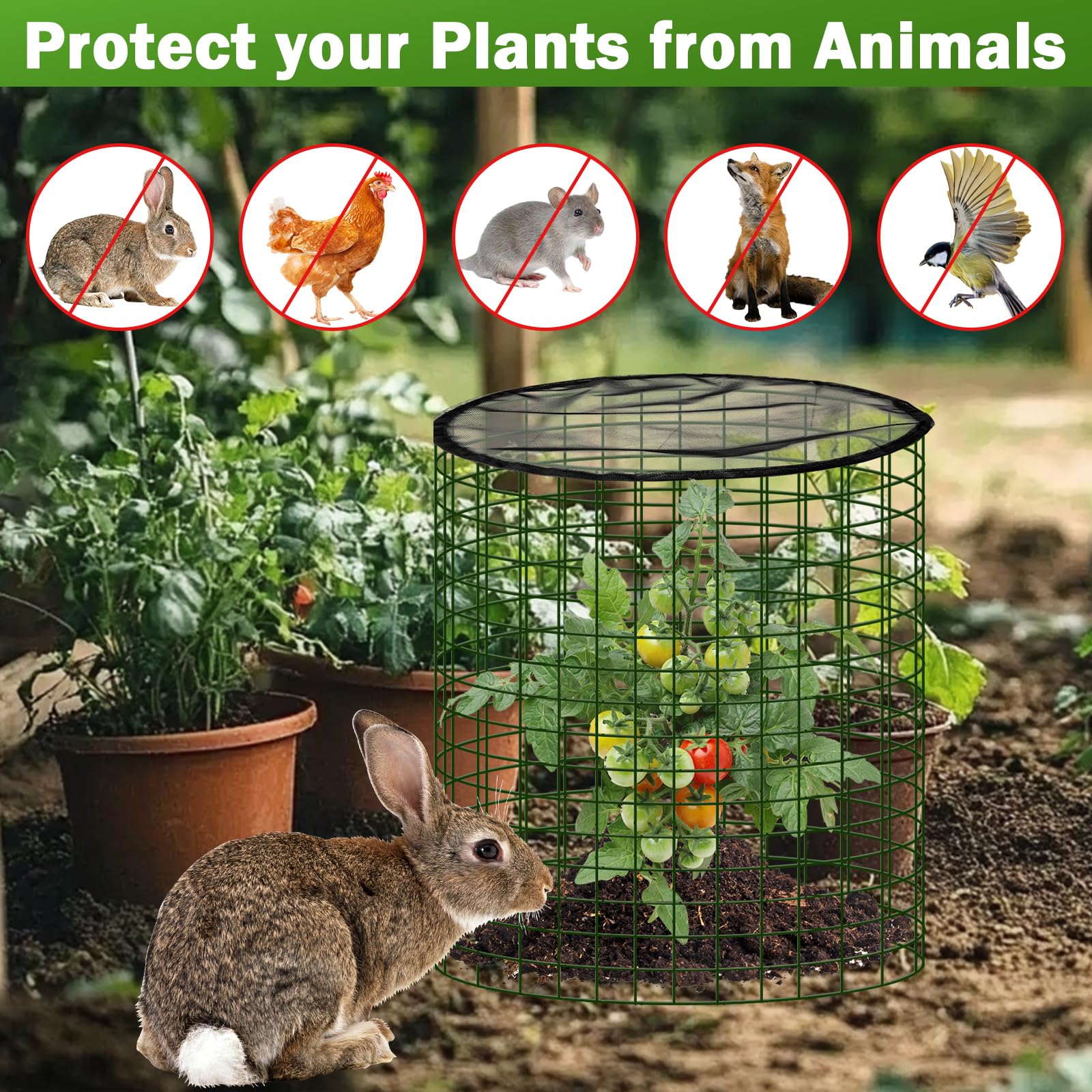 WSFSLJWDW suitable for raised beds and container gardens