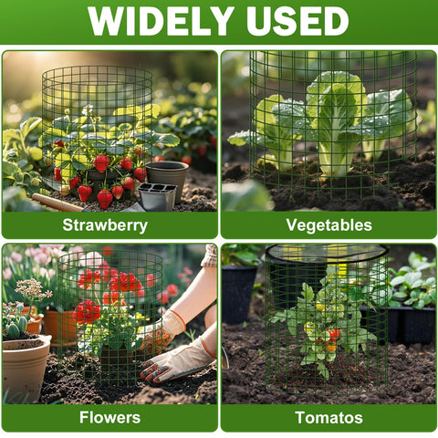 WSFSLJWDW guards plants through early spring and late autumn