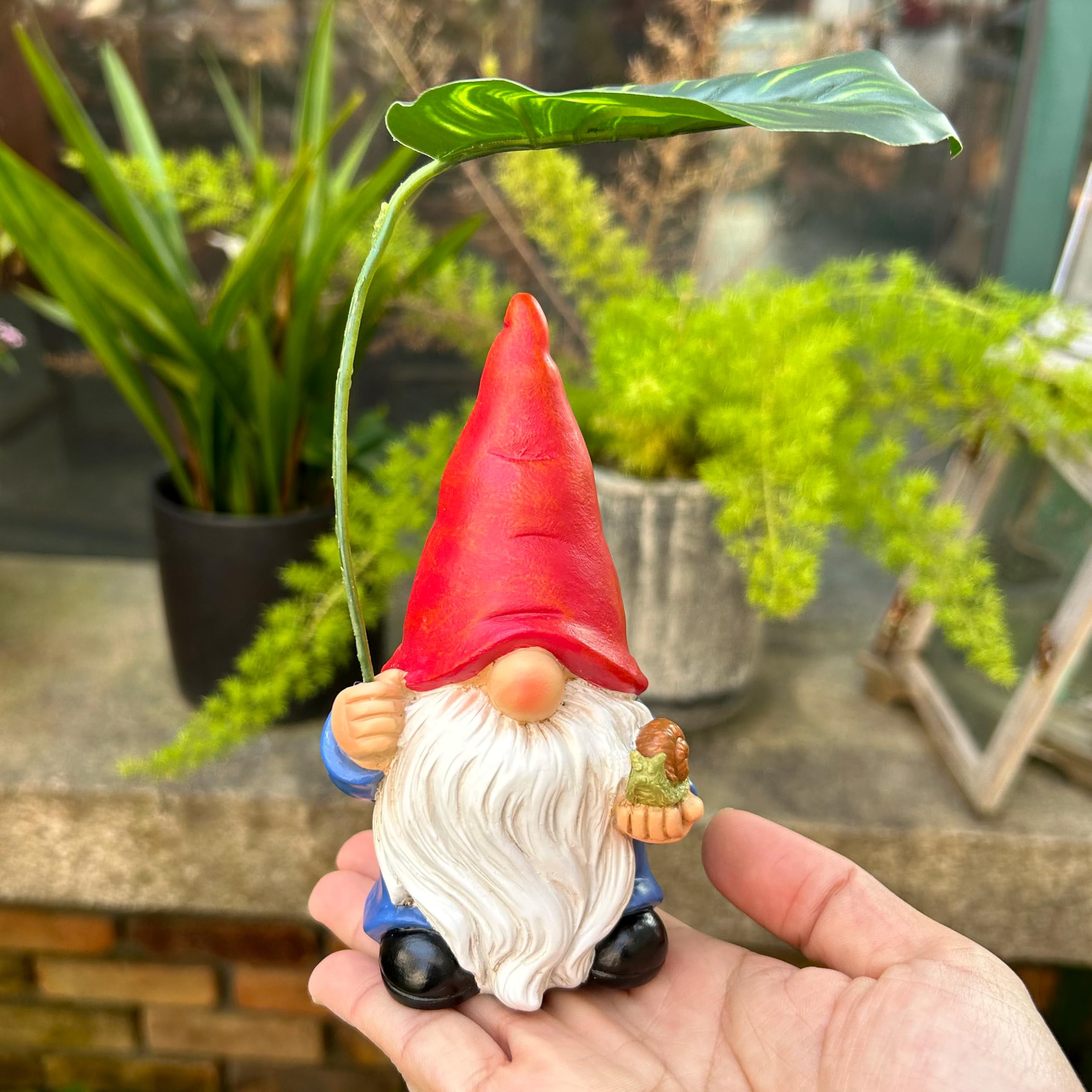 WSHMZYHOME 6.5-inch gnome height for compact displays