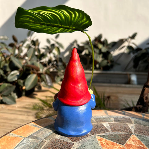 WSHMZYHOME indoor-outdoor decor gnome for versatile placement