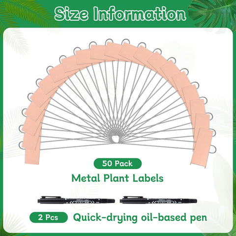 3.5 by 1.2 inch label area for concise plant notes.