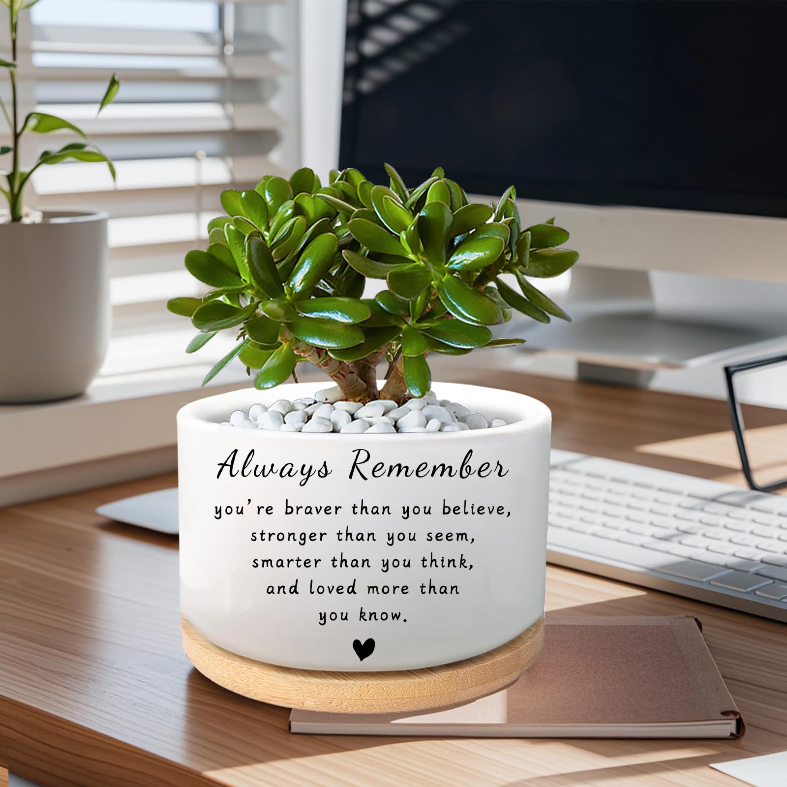 WSLCHOVE ceramic flower planter with modern white finish for home or office.