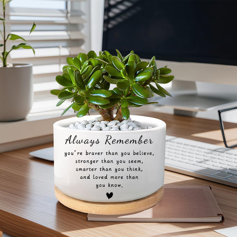 WSLCHOVE ceramic flower planter with modern white finish for home or office.