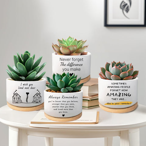 WSLCHOVE ceramic planter for office desk decor and gifting.