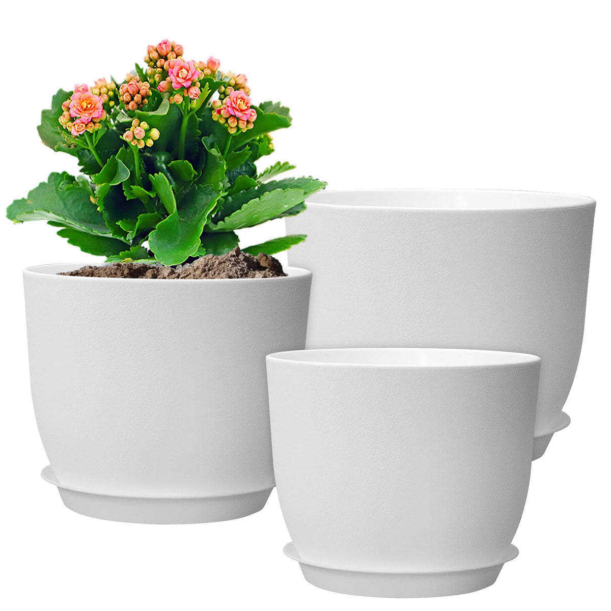 WSMKSZ 10-inch white flower pot front view with drainage for indoor display