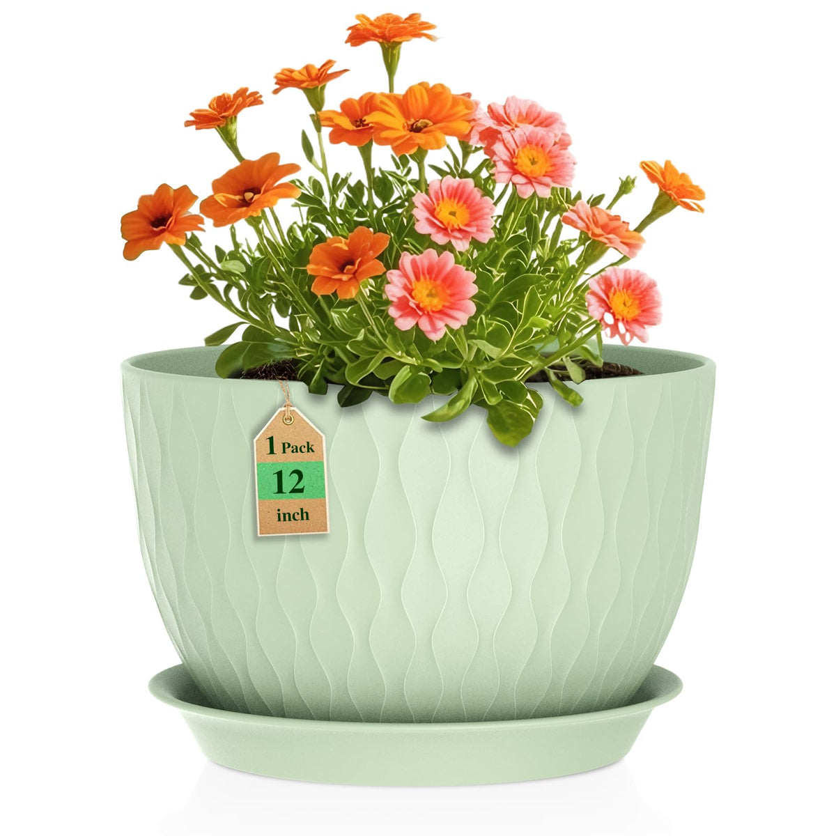 WSMKSZ 12-inch water ripple pot, front view for indoor decor
