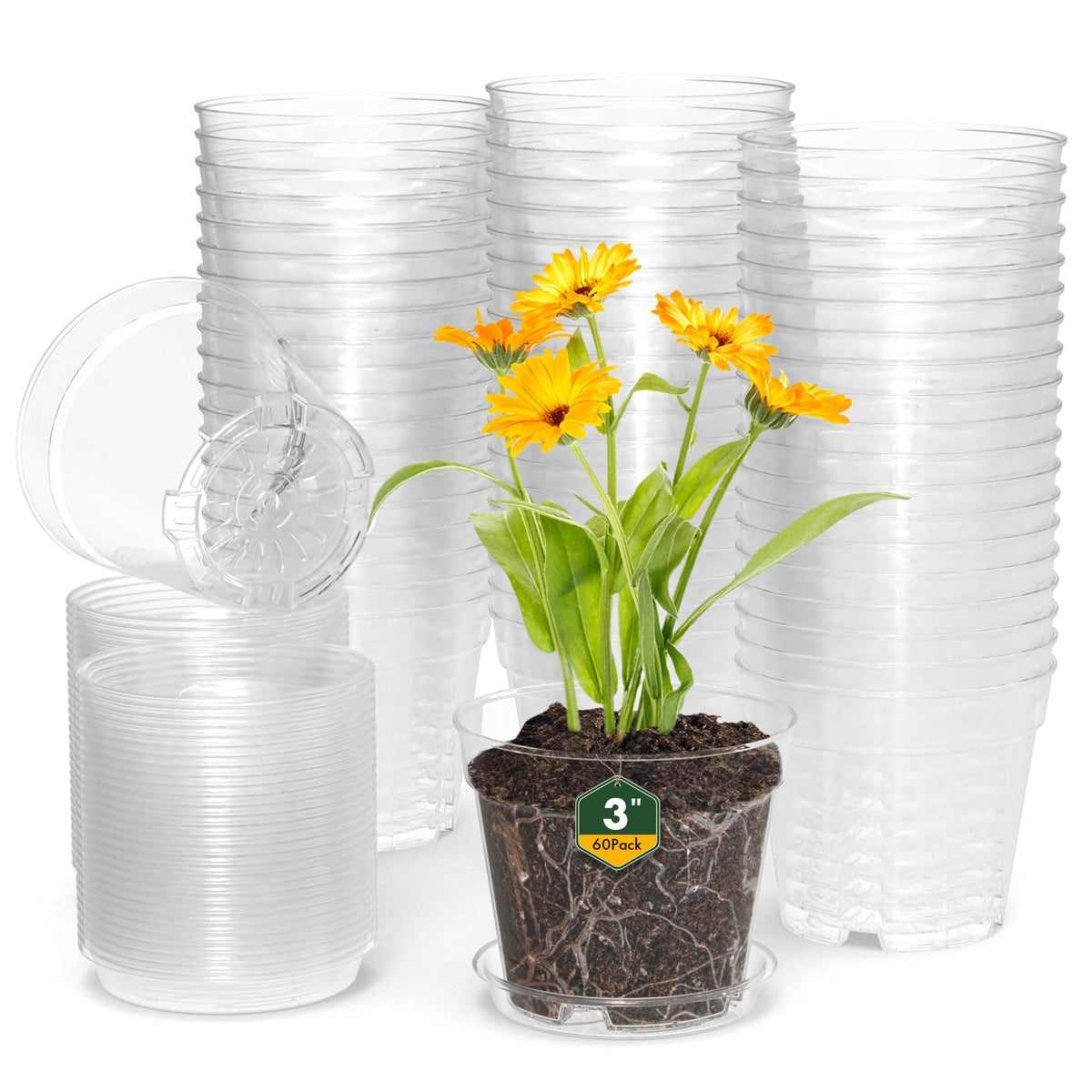 WSMKSZ 3-inch clear nursery pot for easy seedling observation and moisture control.