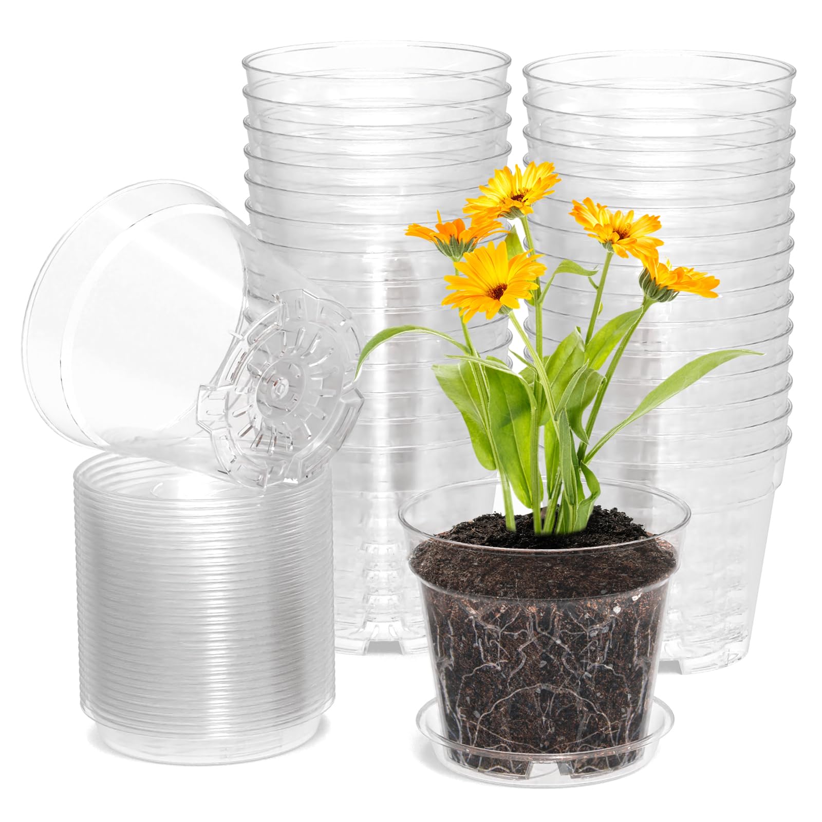 WSMKSZ 4-inch clear nursery pot for easy seedling monitoring and root visibility.