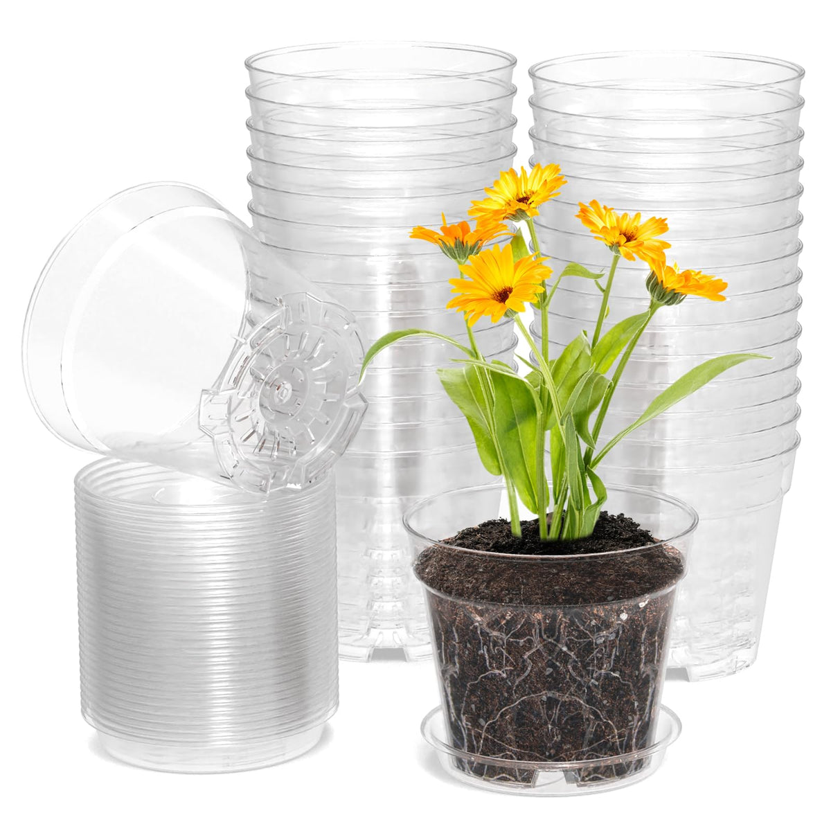 WSMKSZ 4-inch clear nursery pot for easy seedling monitoring and root visibility.