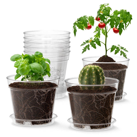 WSMKSZ 4-inch clear nursery pot showing transparency for seedling monitoring and moisture control