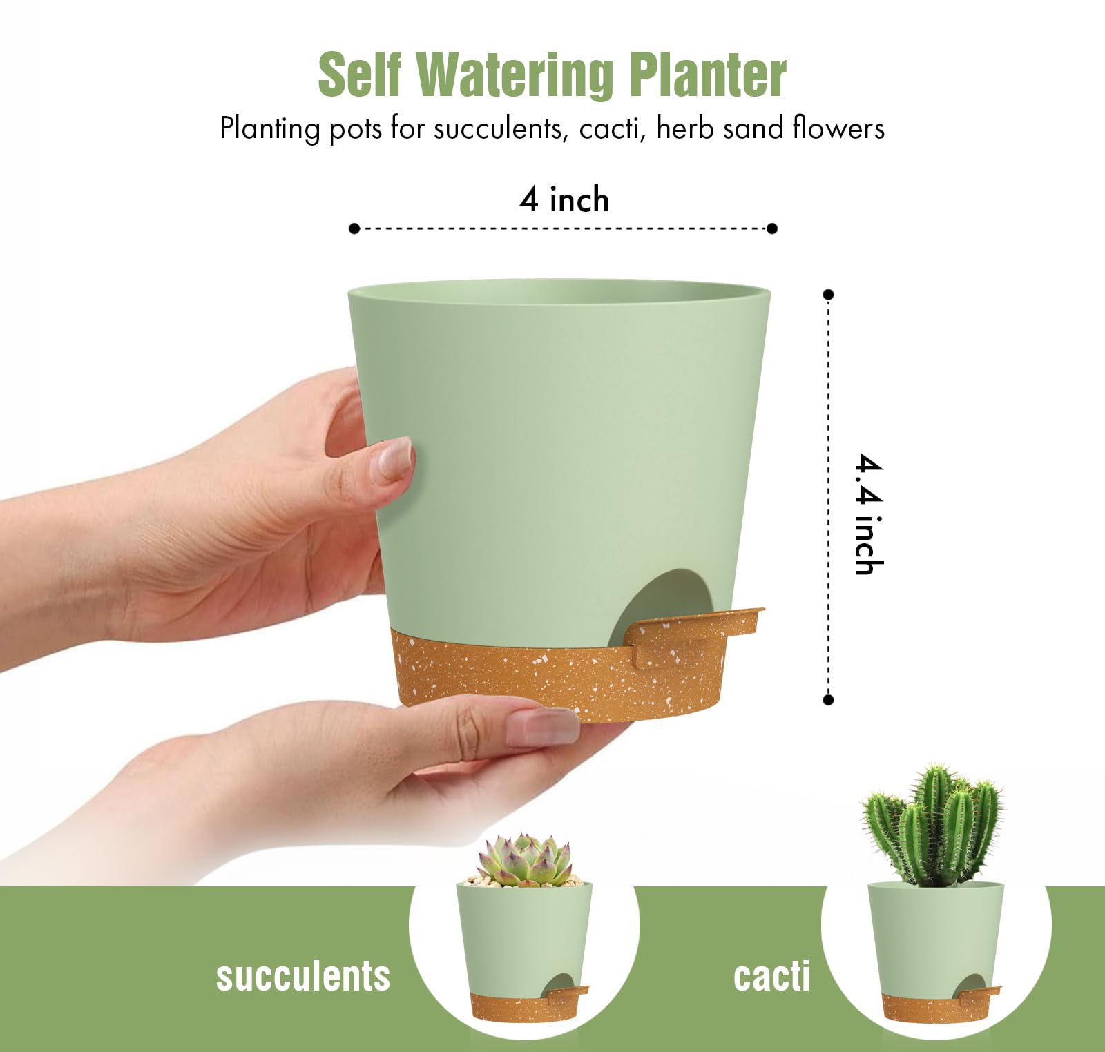 WSMKSZ 6 pack self watering pots arranged for cohesive indoor plant displays